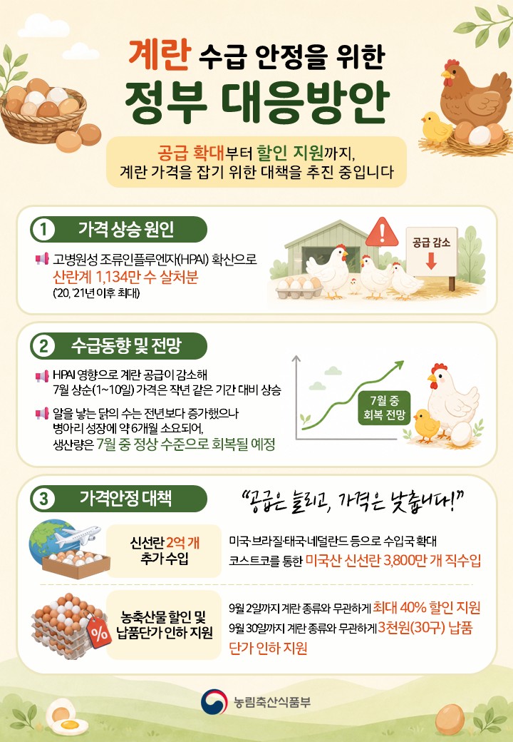 계란 수급 안정을 위한 정부의 대응방안